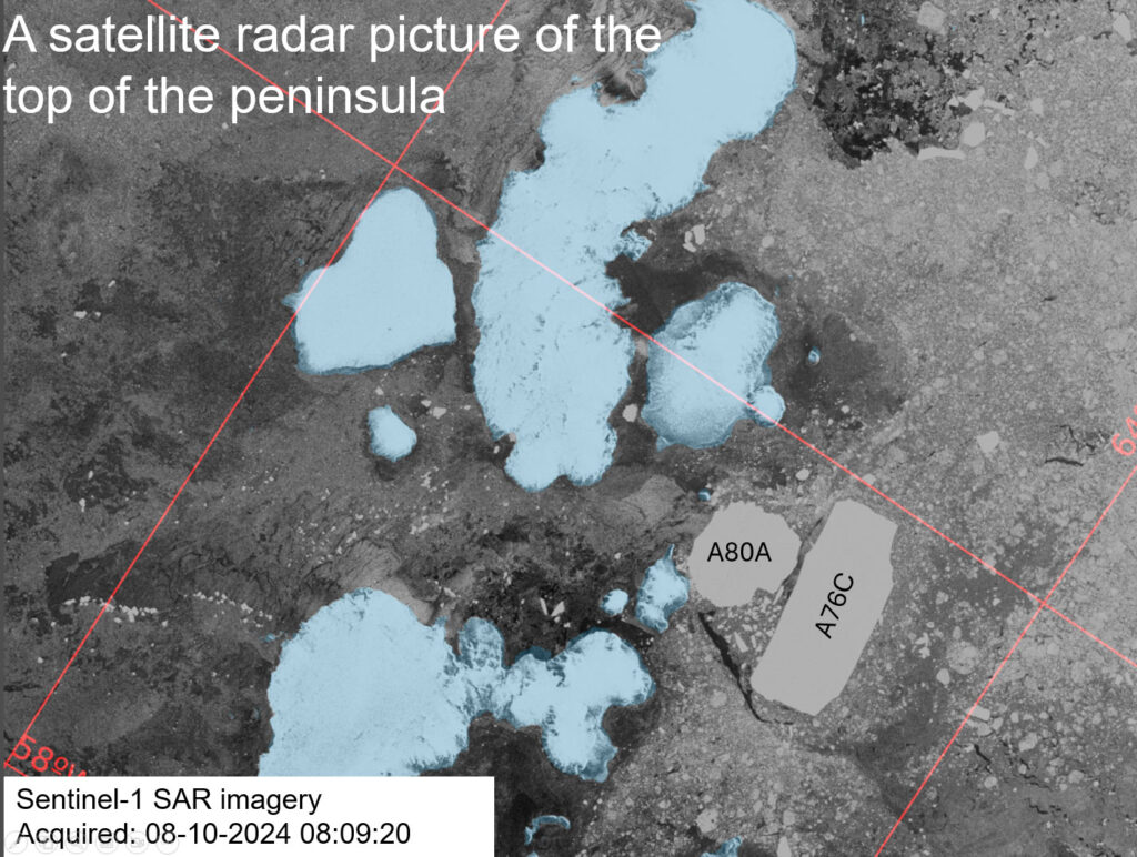 A Sentinel-1 SAR image from 8 October 2024. Land is coloured blue, the giant icebergs are solid grey, and sea ice and smaller icebergs make up the grey shades colouring the rest of the image. 