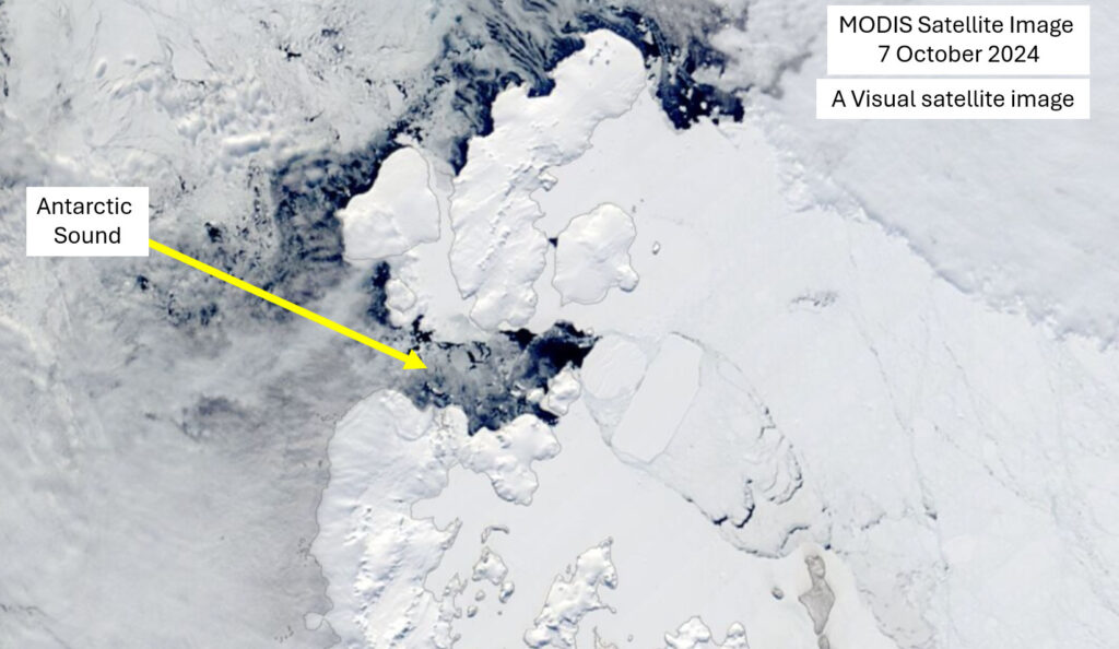 A MODIS satellite image of Antarctic Sound taken on 7 October 2024. Two large icebergs are at the southern end of the Sound. These are A80A and A76C.